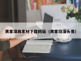 泰安黑客漫画素材下载网站（黑客动漫头像）