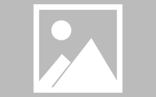 泰安网页设计师周记（网页设计周记26篇300字）